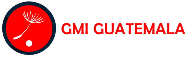 GMI